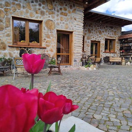 Pokoje Goscinne Skalnik - Agroturystyka Kostrzyn nad Odra Buitenkant foto