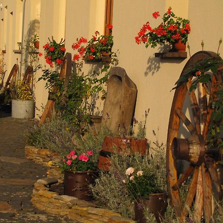 Pokoje Goscinne Skalnik - Agroturystyka Kostrzyn nad Odra Buitenkant foto