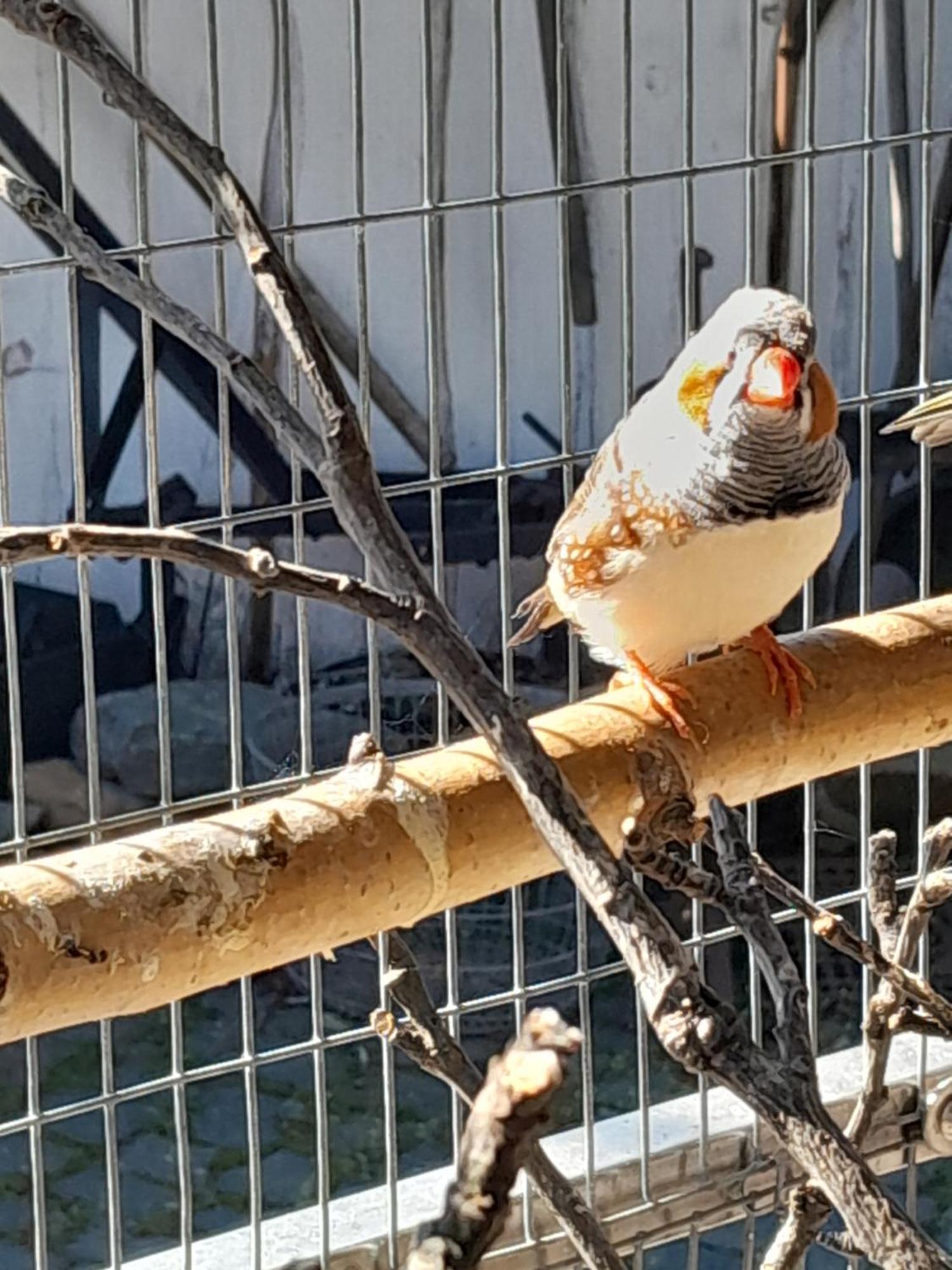 Pokoje Goscinne Skalnik - Agroturystyka Kostrzyn nad Odra Buitenkant foto
