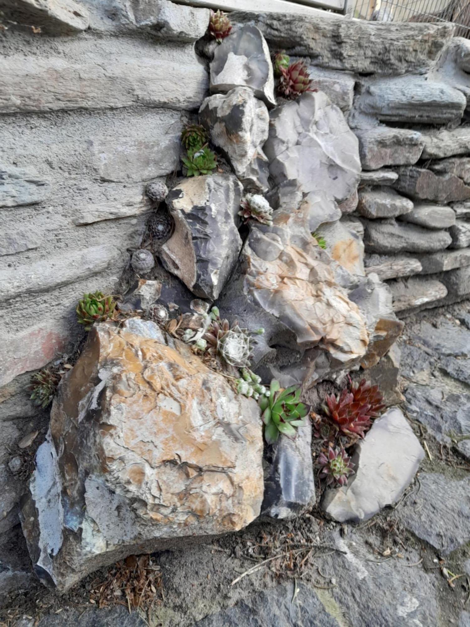 Pokoje Goscinne Skalnik - Agroturystyka Kostrzyn nad Odra Buitenkant foto