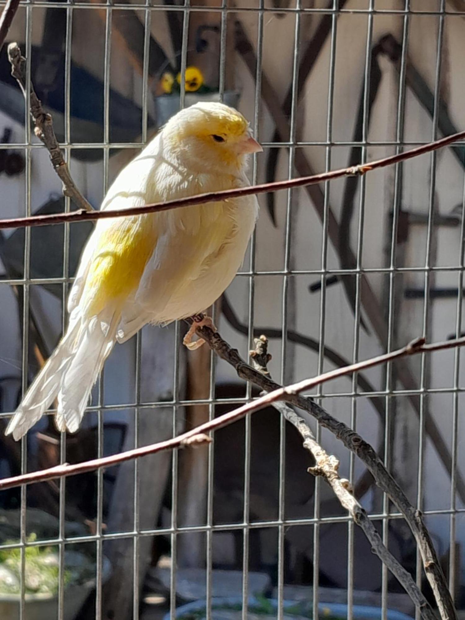Pokoje Goscinne Skalnik - Agroturystyka Kostrzyn nad Odra Buitenkant foto