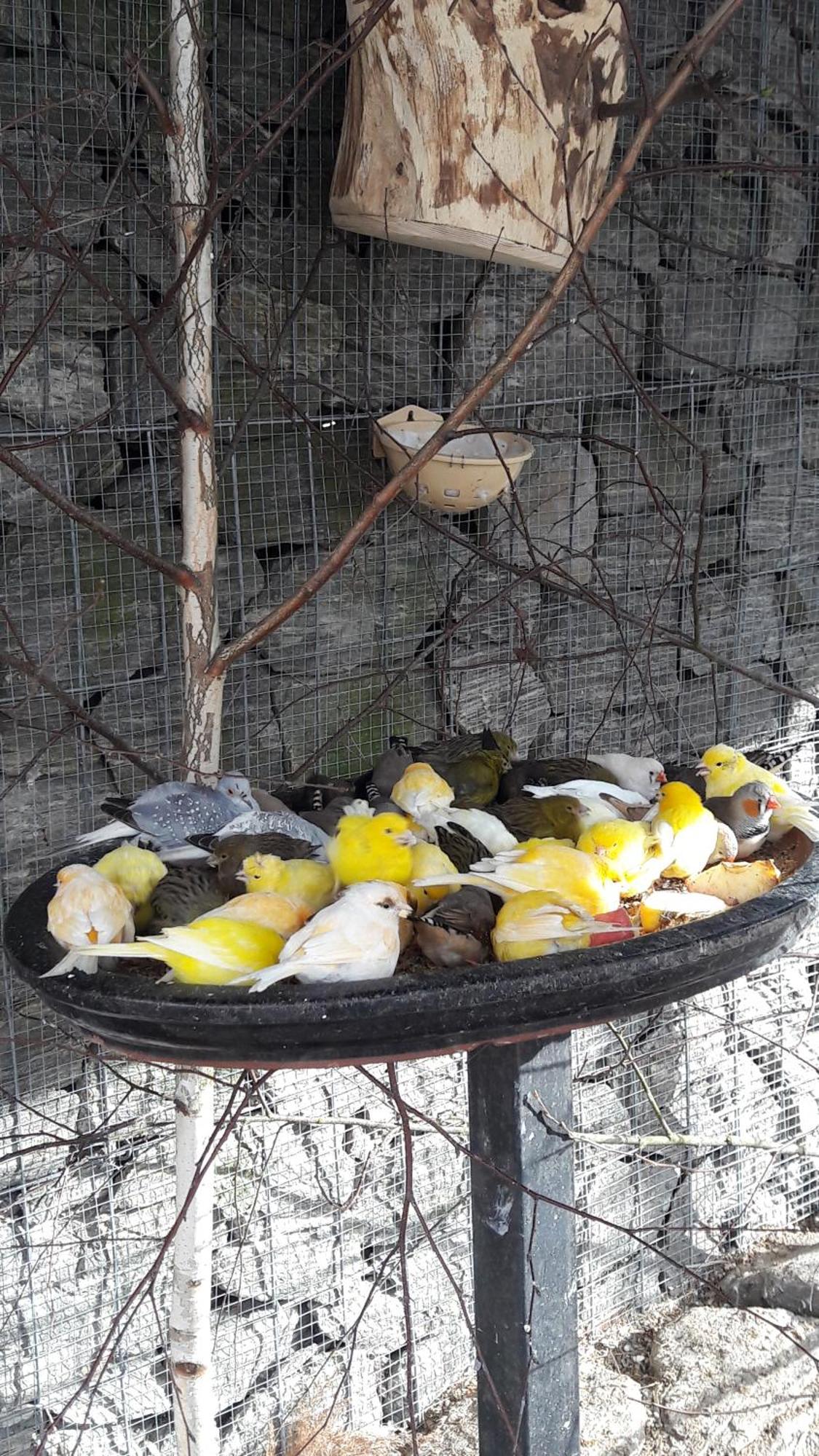 Pokoje Goscinne Skalnik - Agroturystyka Kostrzyn nad Odra Buitenkant foto