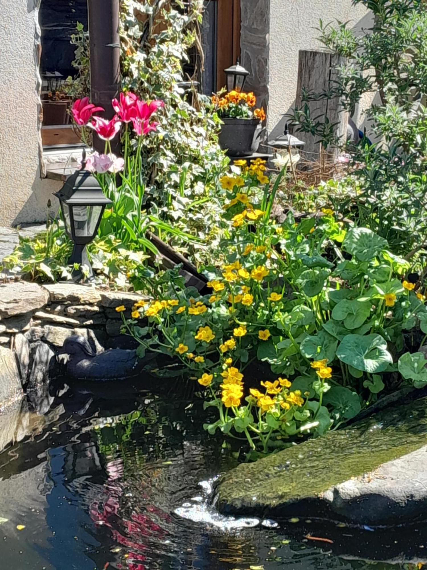 Pokoje Goscinne Skalnik - Agroturystyka Kostrzyn nad Odra Buitenkant foto